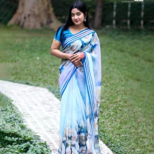 Neelanjana Premium Chinon georgette Saree